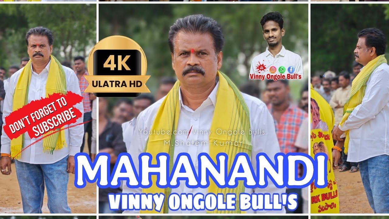 4K HD VIDEO మహానంది పుణ్యక్షేత్రం లో...2వ జత  RK. BULL'S 🏆🏆🏆🏆