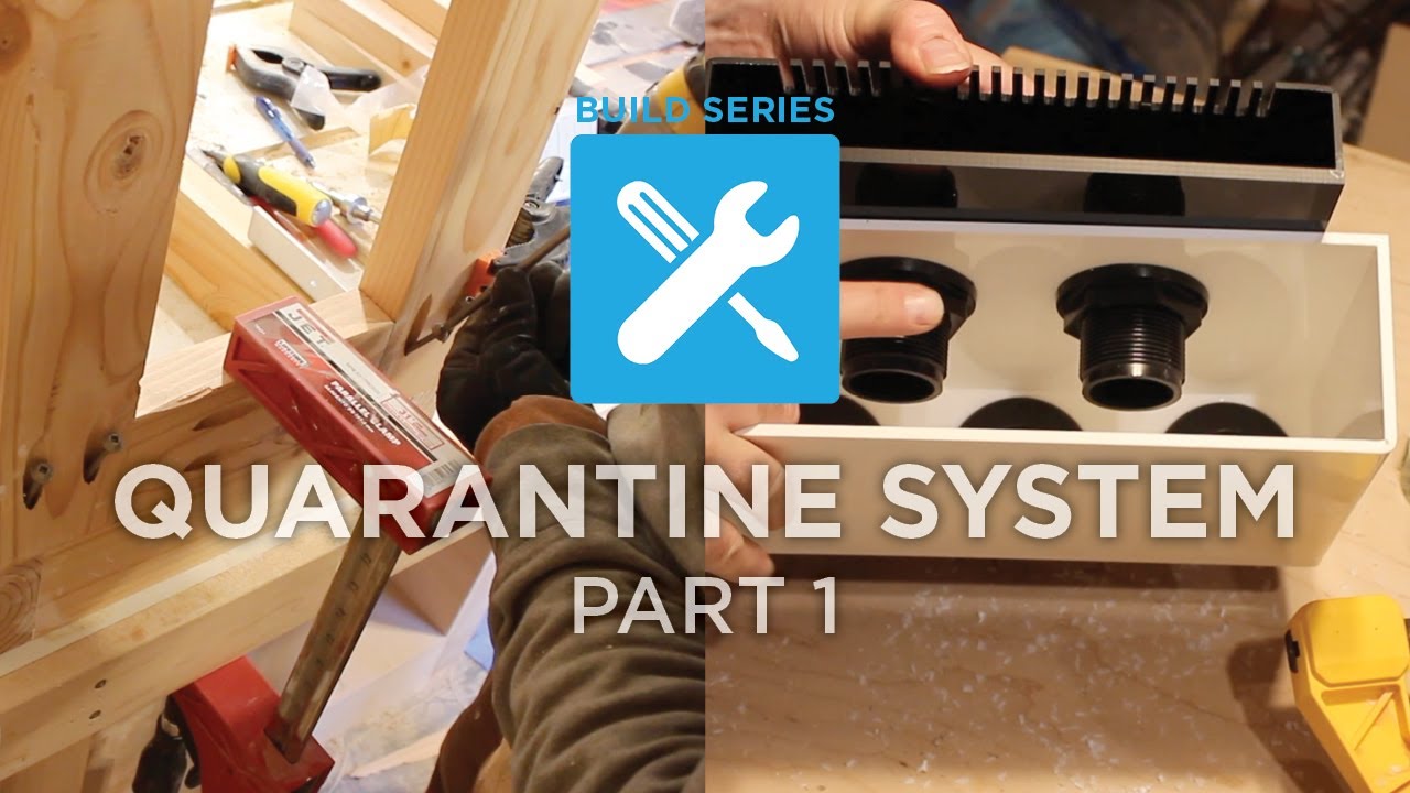 EP. 6 | Build Series: Quarantine System Part 1