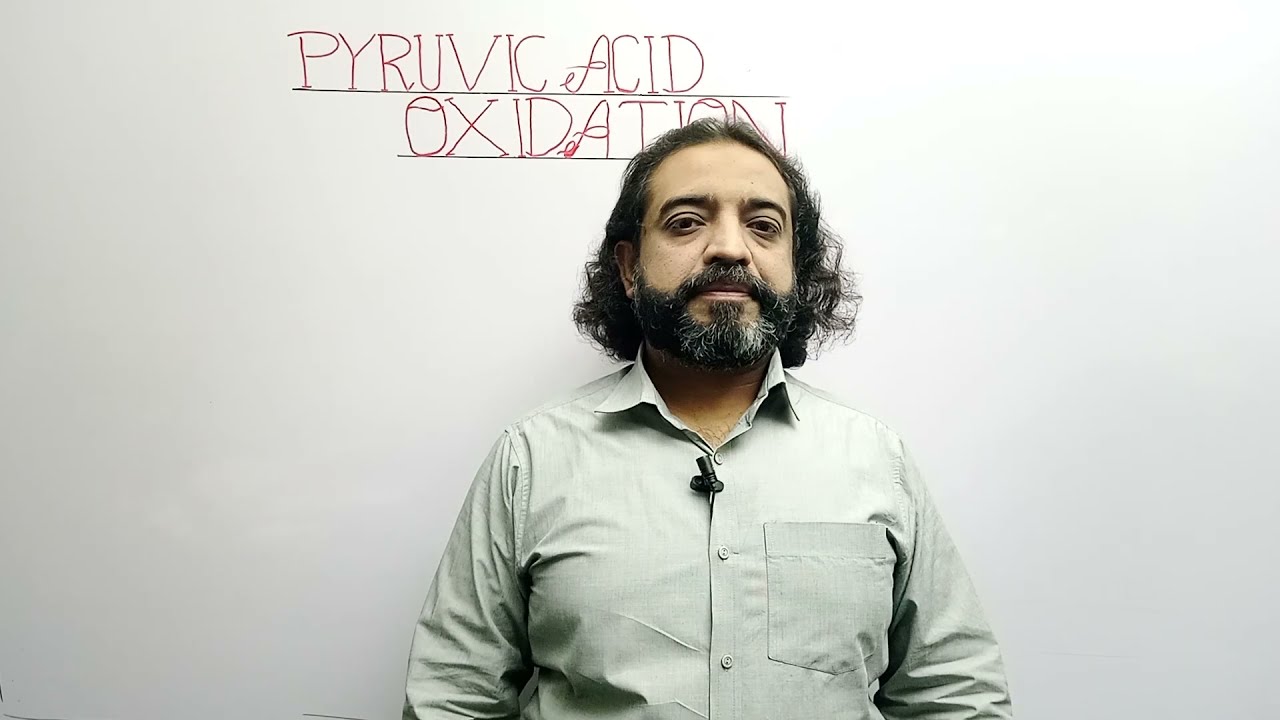pyruvic acid oxidation | chapter # 11 | first year Biology
