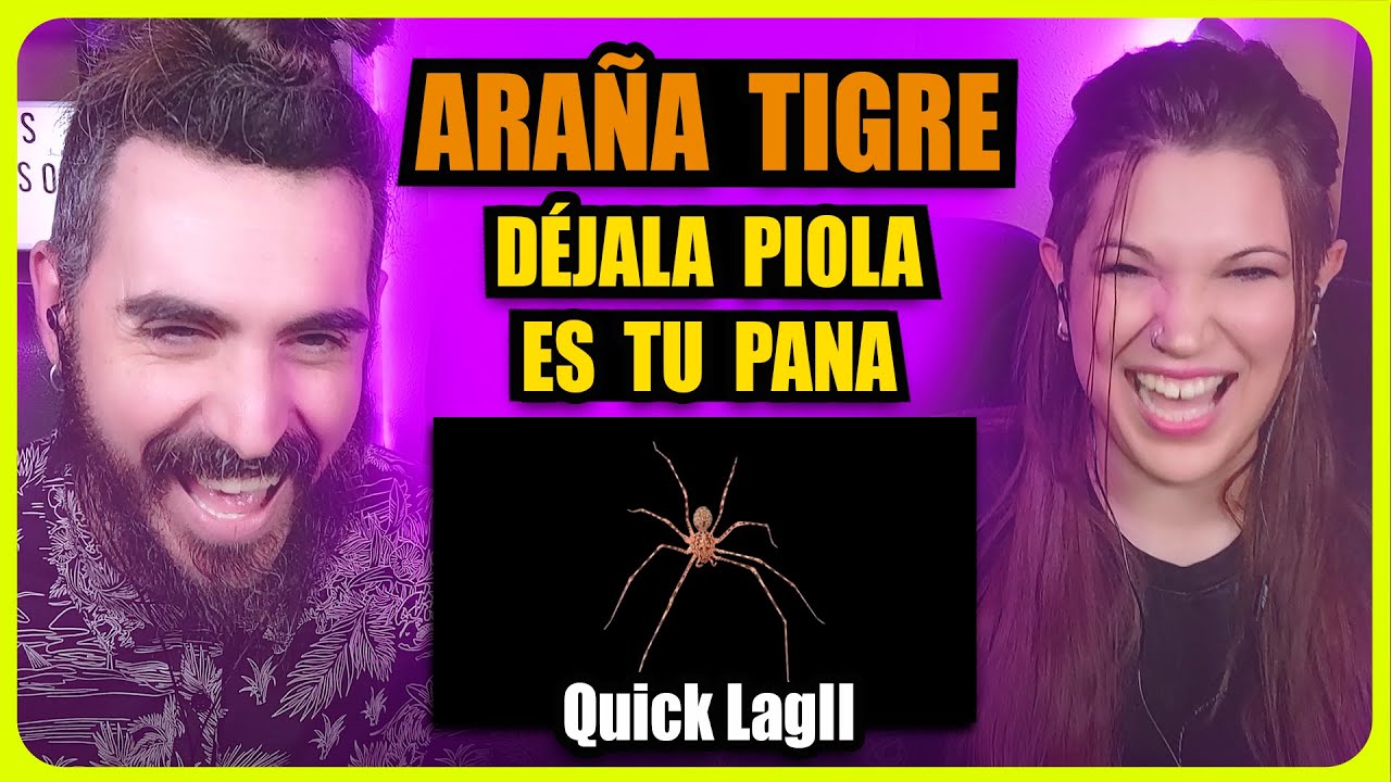 👉 ARAÑA TIGRE - DÉJALA PIOLA, ES TU PANA - QUICK LAGII | Somos Curiosos