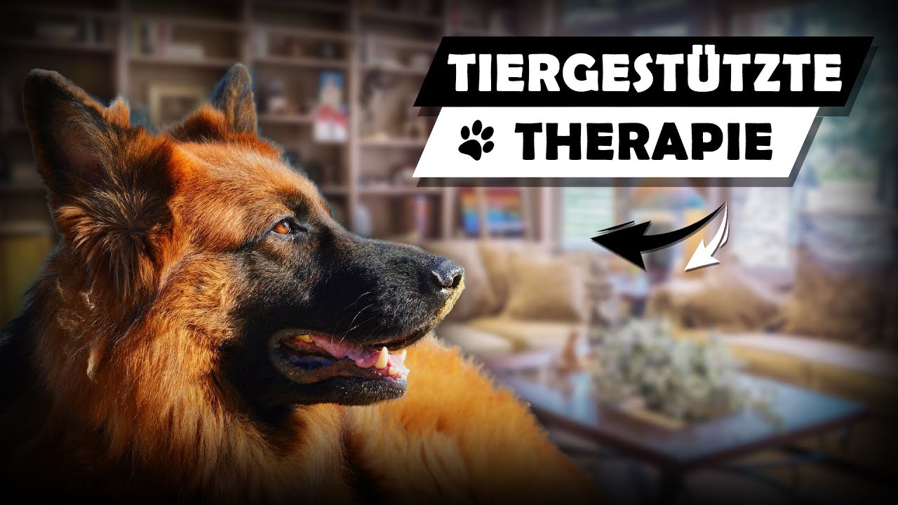 Surprise Video | WAS IST TIERGESTÜTZTE THERAPIE | Kooperation Mit RABTEK