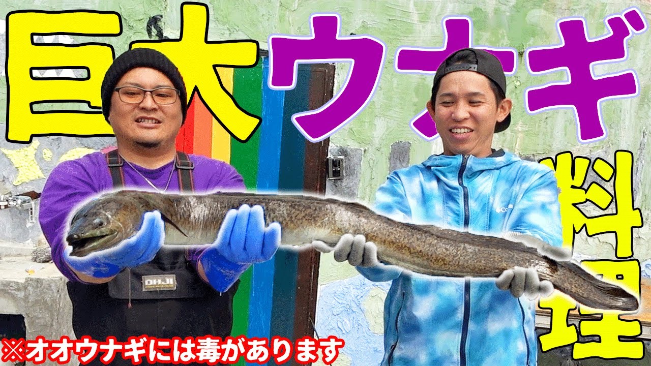 【#３】外来種ワールドの川に罠を仕掛けて伝説の龍を捕まえろ！【龍伝説】