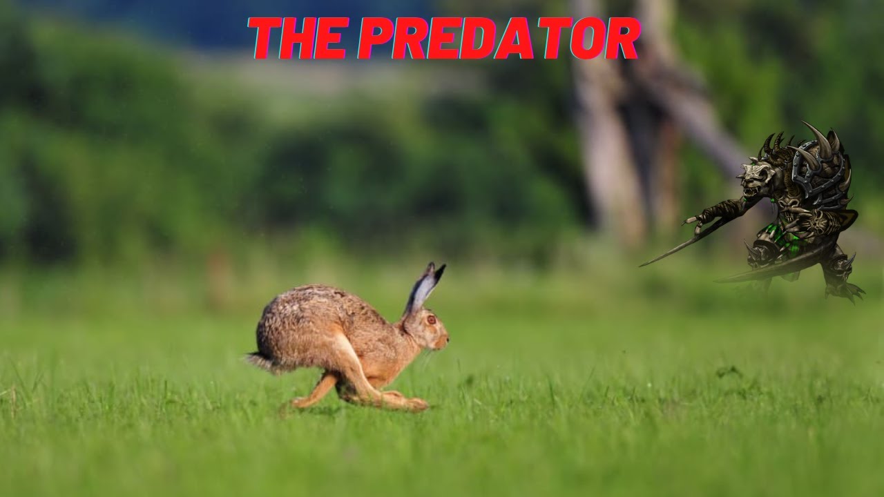 I am an Apex Predator | HoN