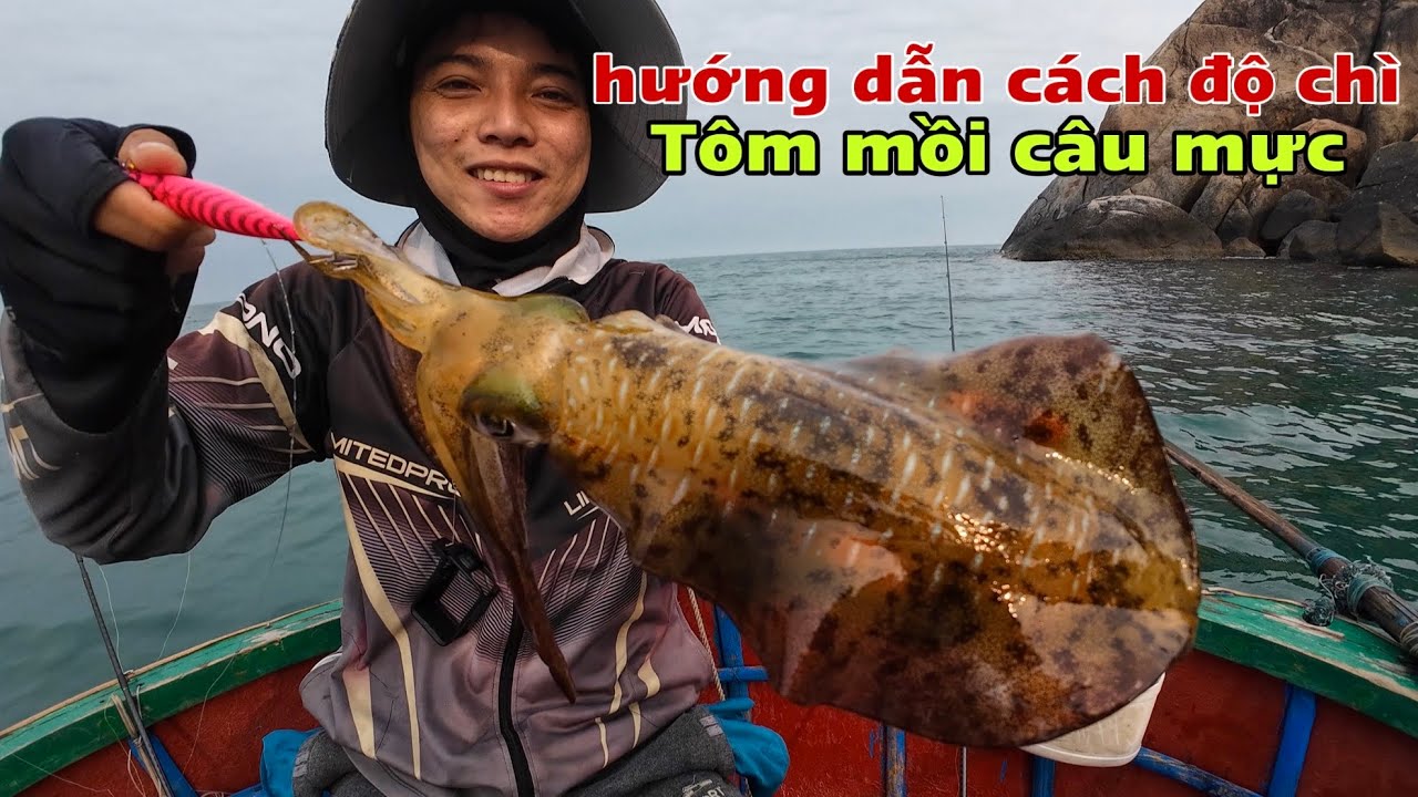 C&acirc;u mực l&aacute; v&agrave;o buổi s&aacute;ng v&agrave; c&aacute;ch độ ch&igrave; cho t&ocirc;m nghề c&acirc;u mực cực kỳ hiệu quả
