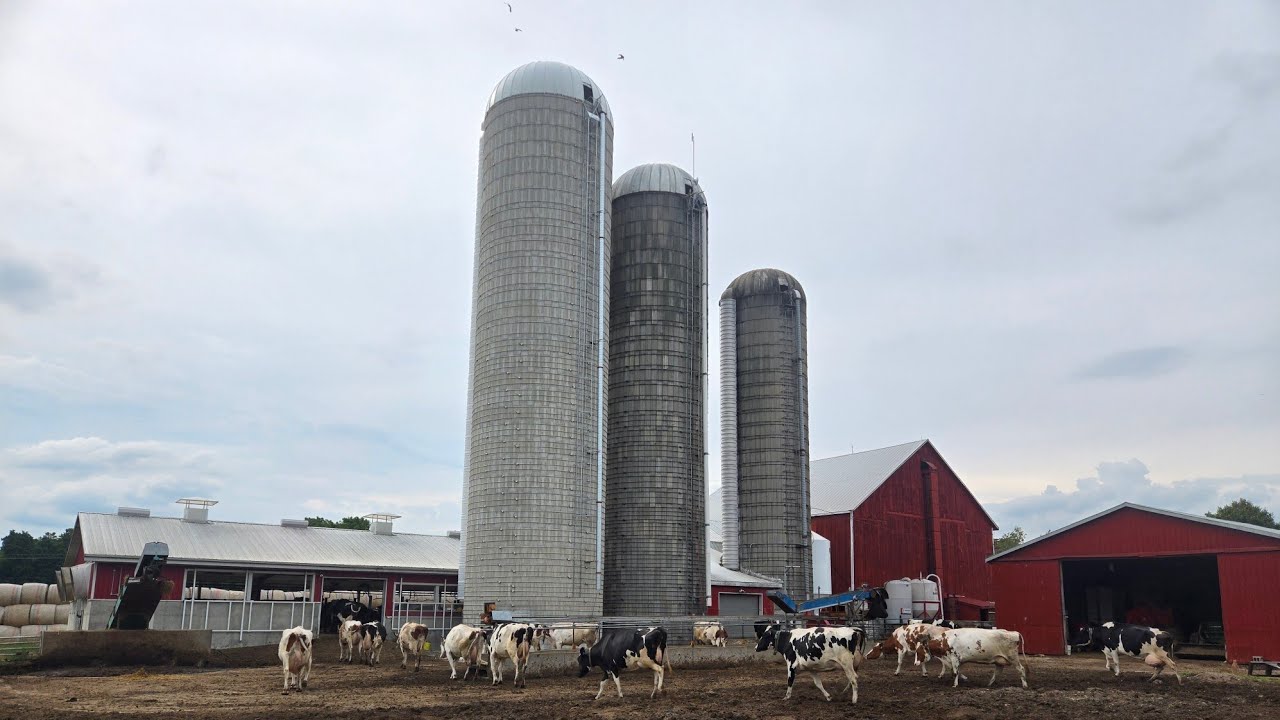 Putting the roof on the new tower silo! Young dairy farmer learn how to build silo! 
