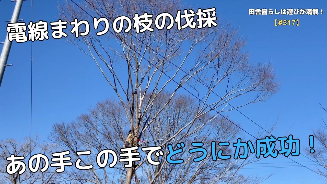 【#517】電線まわりの枝の伐採　あの手この手でどうにか成功！