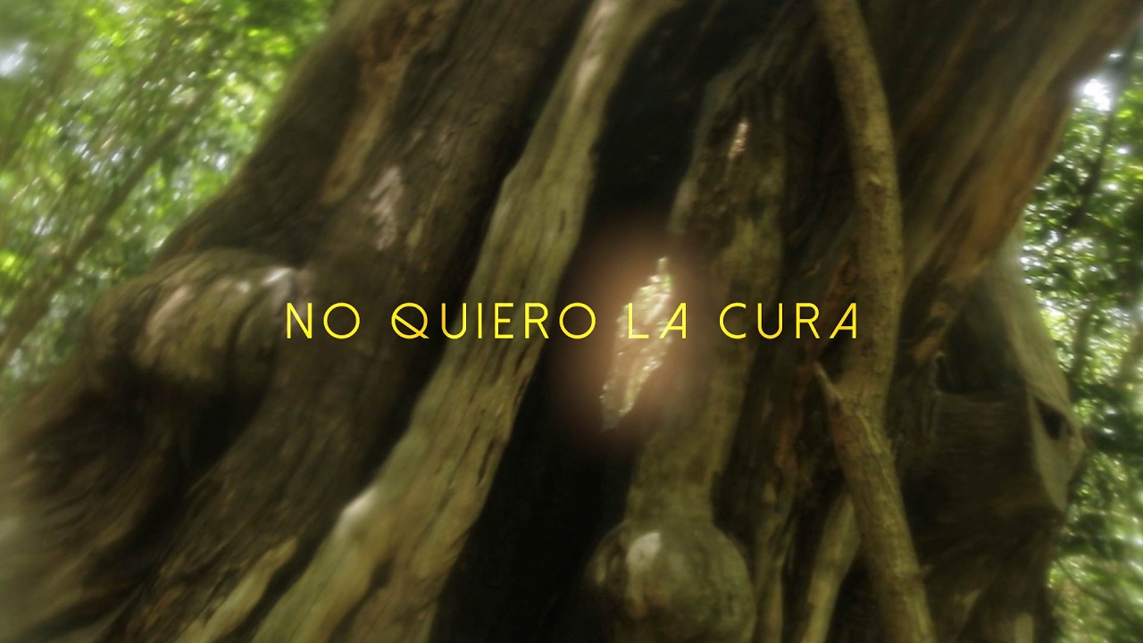 BELE - Mal del Sauce | Lyric Video Oficial