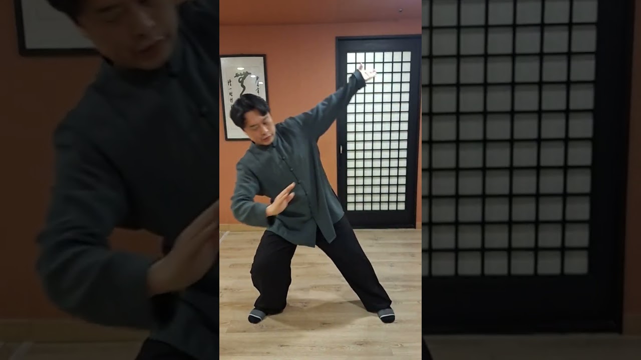 부산 진병 태극권 신법 身法    진병 선생님2023.04.20-25한국세미나 (Tai Ji&nbsp;  moving zen  )＃태극권 #양생법#건강#호신술#명상