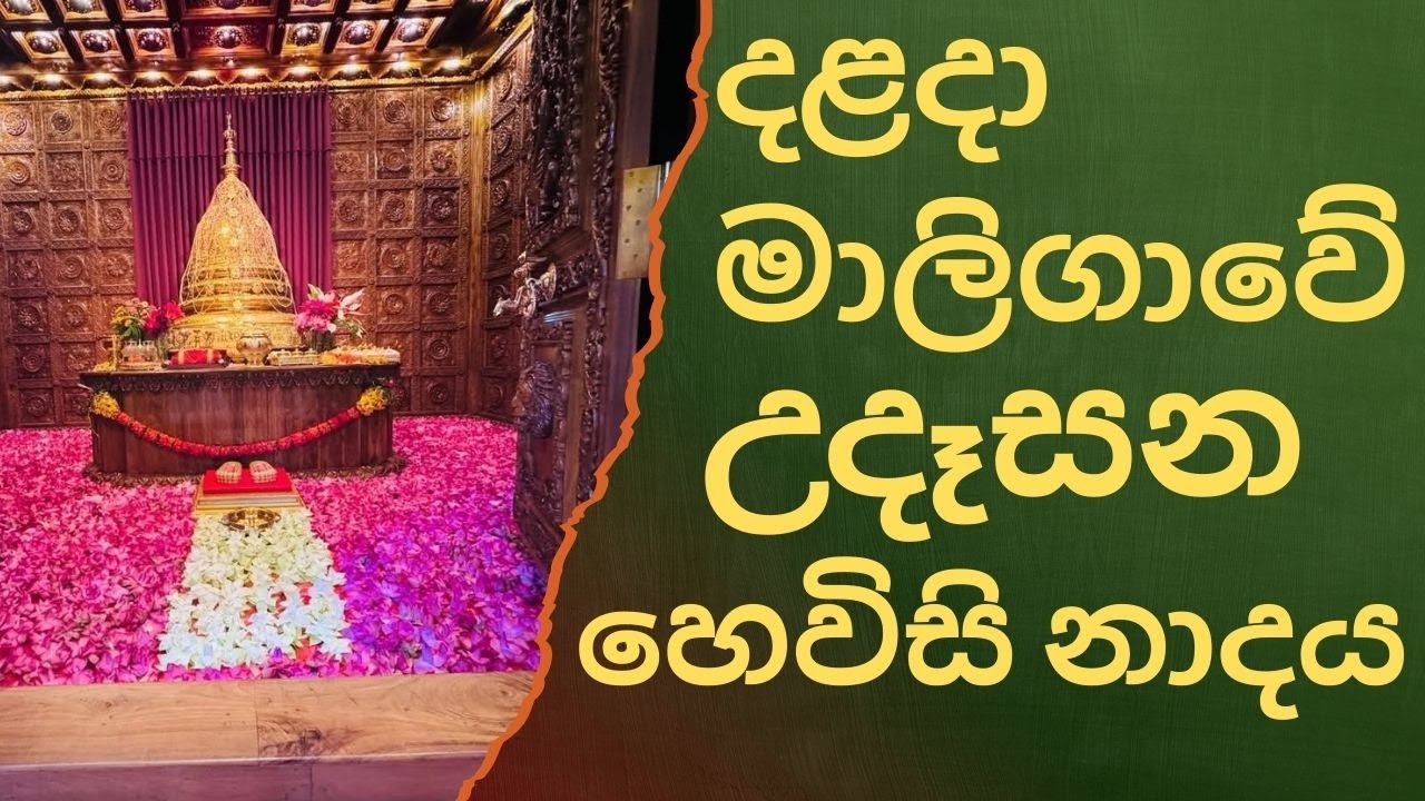 දළදා මාලිගාවේ සවස් තේවා හේවිසි – හදවත පිරිසිදු කරන නාදය 🎵 SIRI DALADA THEWA HEVISI NADAYA