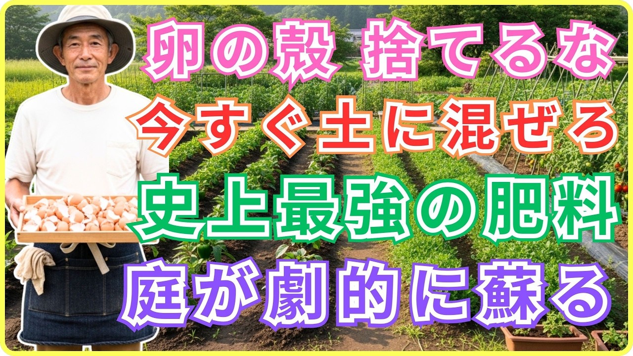 【初心者でも成功】卵の殻を捨てるのは今日で終わりにしてください。土が変わる・虫が消える・実が太る…キッチンの「魔法の肥料」を園芸家が20年間隠していた本当の理由
