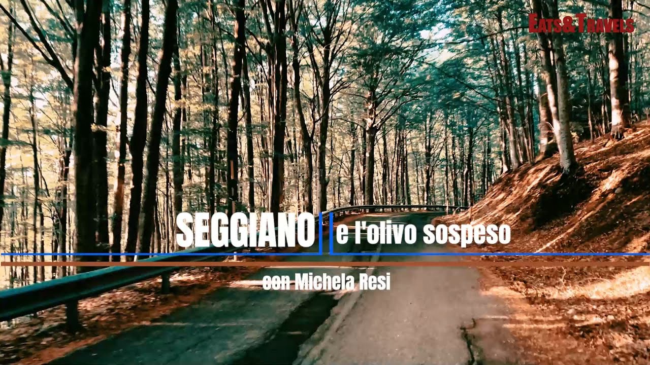 Seggiano e il suo Olivo sospeso