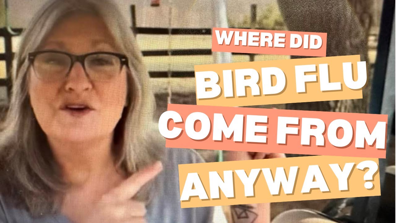 Where Did the Bird Flu Come From Anyway? Is it Real? Why Are Prices So High? Let's Discuss!
