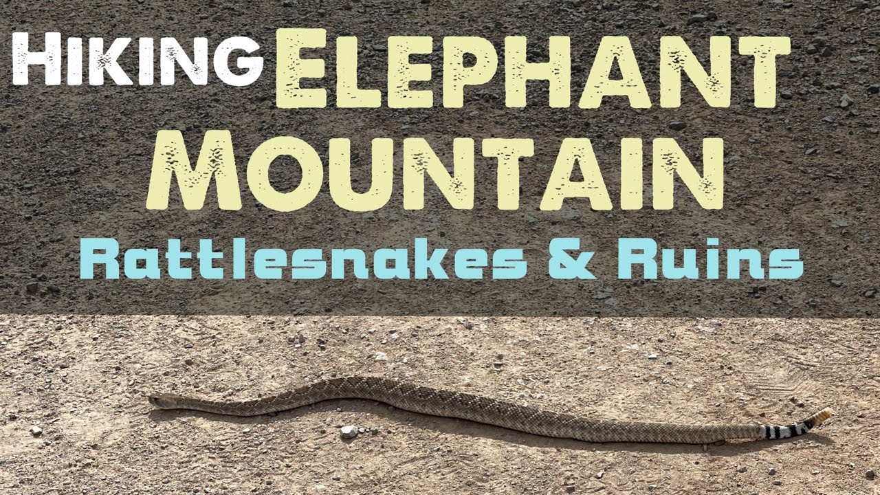 Elephant Mountain - Rattlesnakes and Ruins in the Sonoran Desert