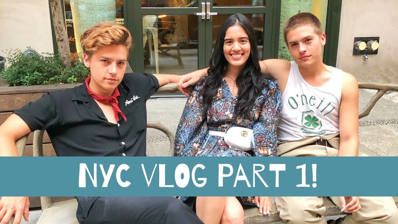 NYC VLOG PART 1 | Shivani Bafna