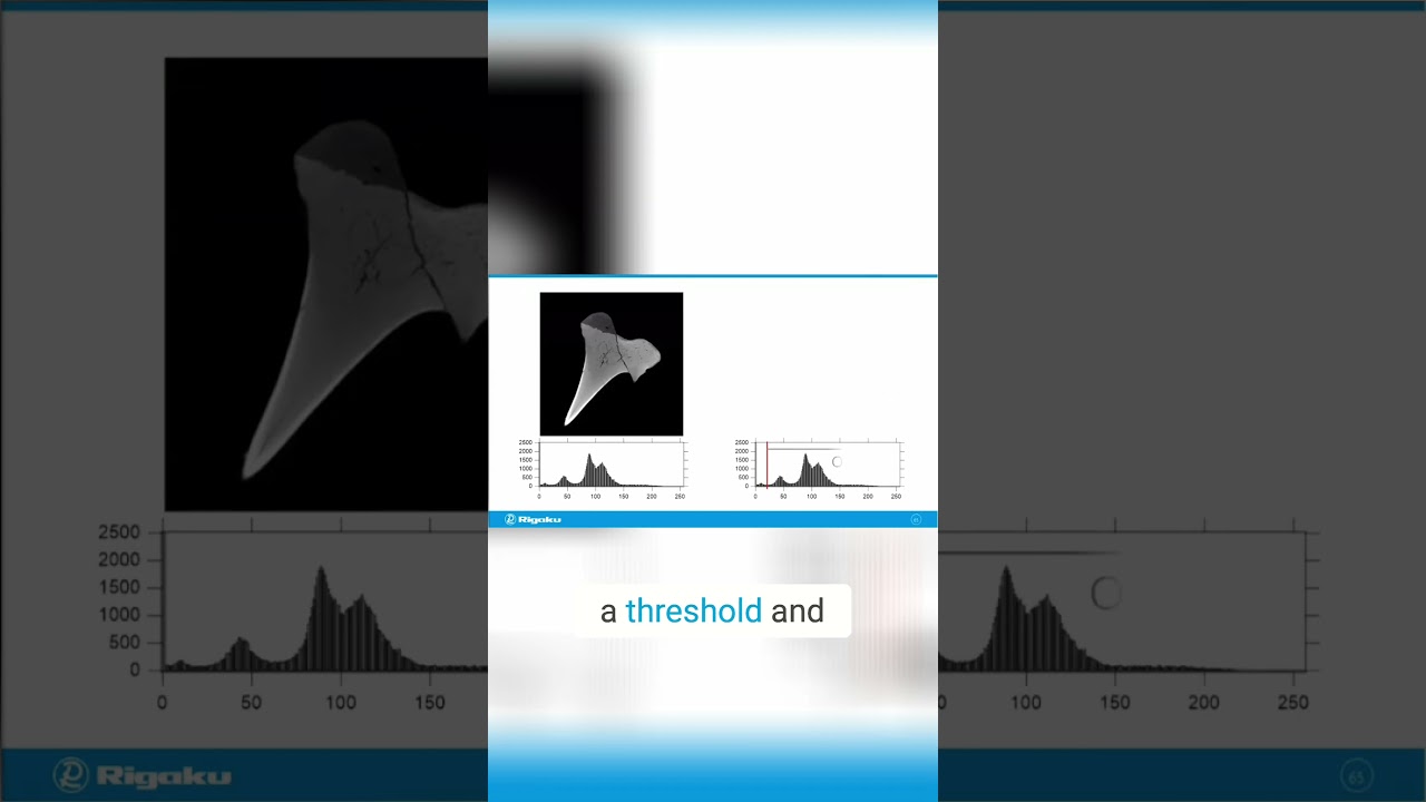 Image Segmentation  Unlocking Secrets with Histogram Thresholding!