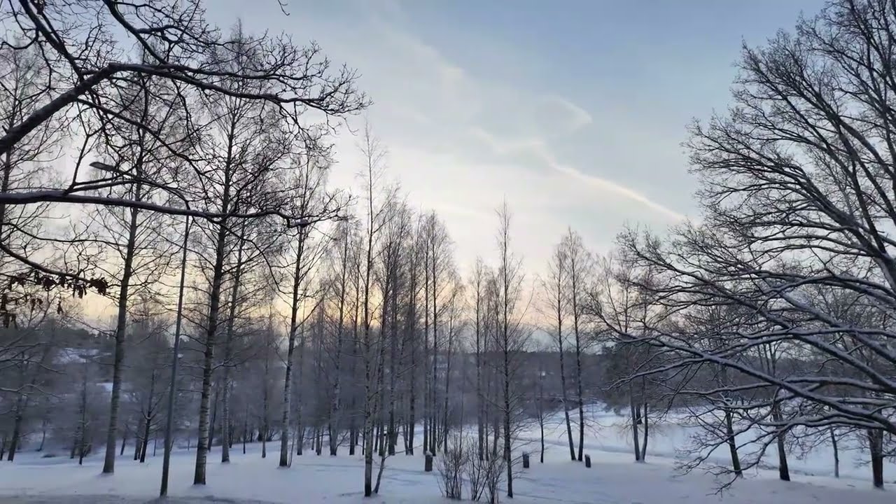 Snow Walking ASMR in Vantaa, Finland ❄️ Winter Ambience