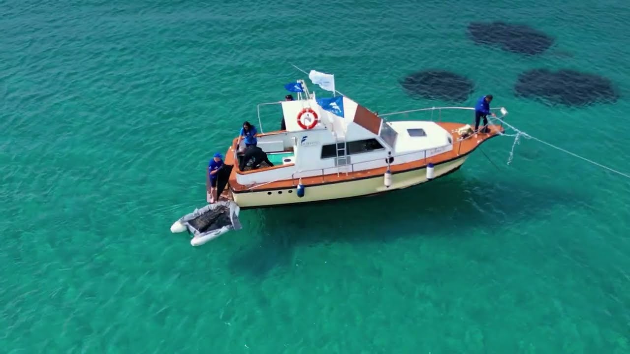 Marevivo Sud Sardegna - Capo Sperone