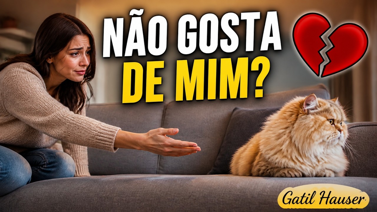COMO SABER SE MEU GATO GOSTA DE MIM? MEU GATO NÃO ME AMA? - Gatil Hauser