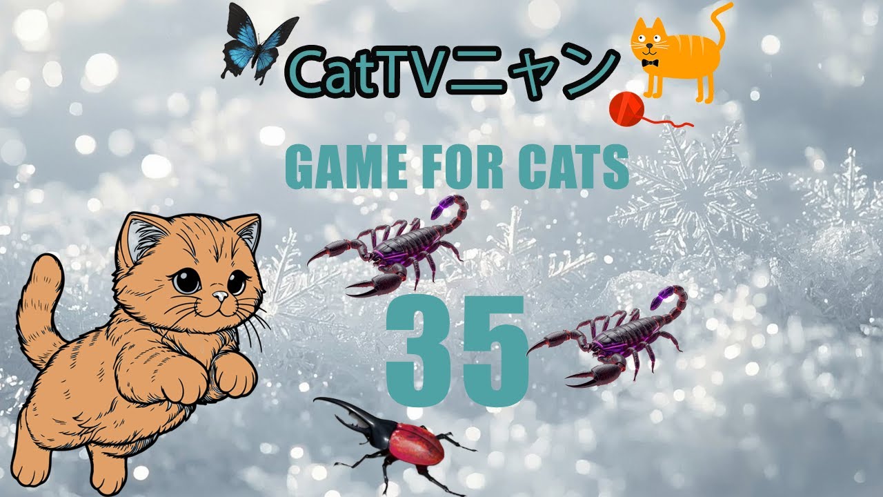 猫の本能全開！5時間の狩りタイム🎯 | CatTVニャン #35