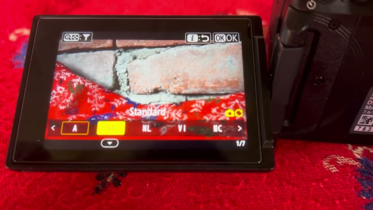 Nikon z50 mark II setting slow motion white balance#longvideo #trendingvideo 