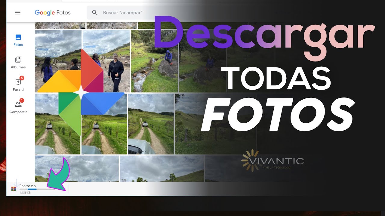 2 Formas: Descargar todas las Fotos y Vídeos de Google Fotos