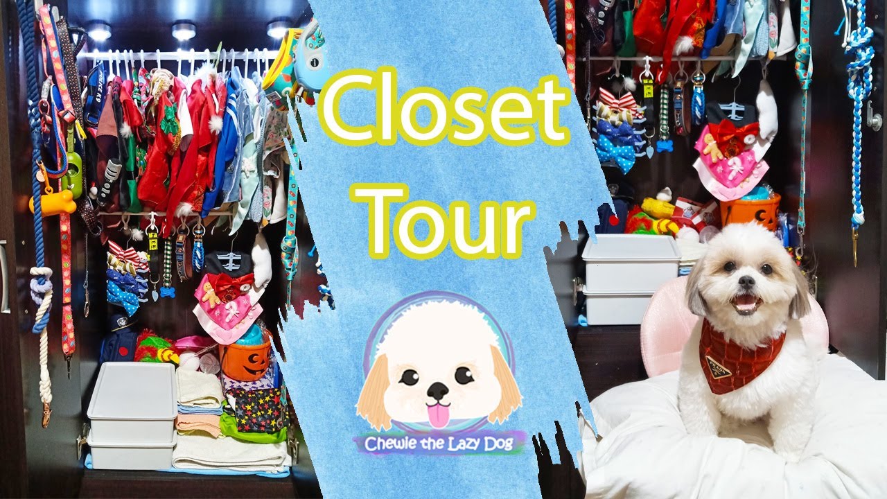 Pet Closet Tour | Chewie the Lazy Dog