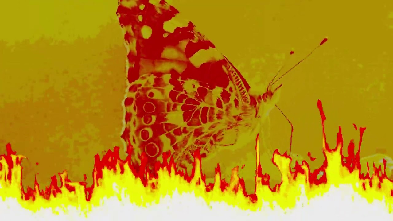 Fuel to the Flame - Ignited Harvest Chase Theme