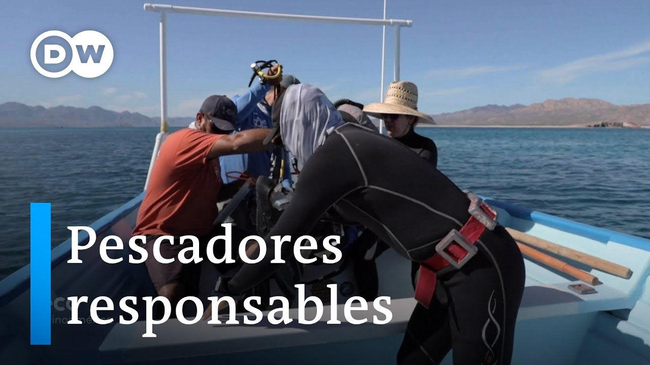 Refugios pesqueros en México