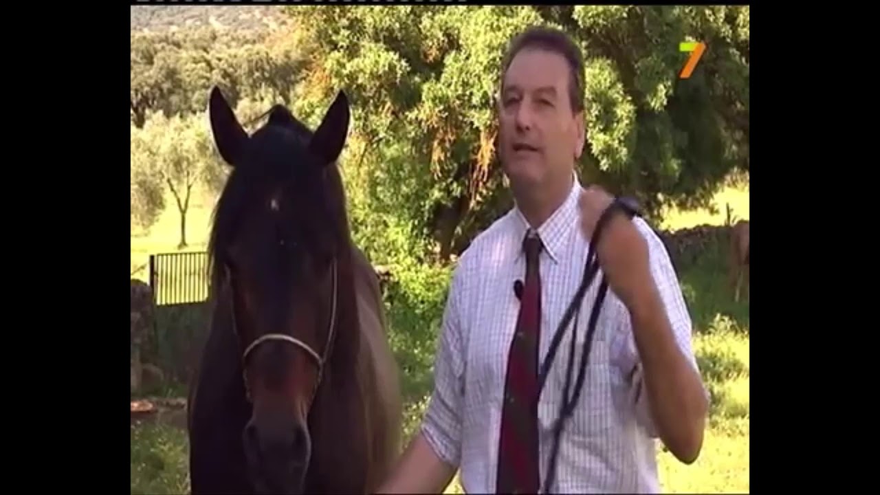 Programa a caballo sobre la Yeguada