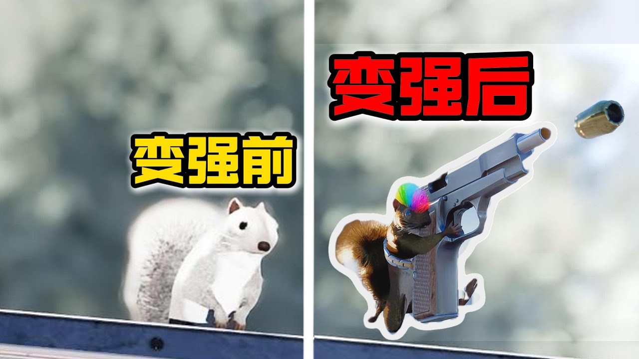 超级松鼠！