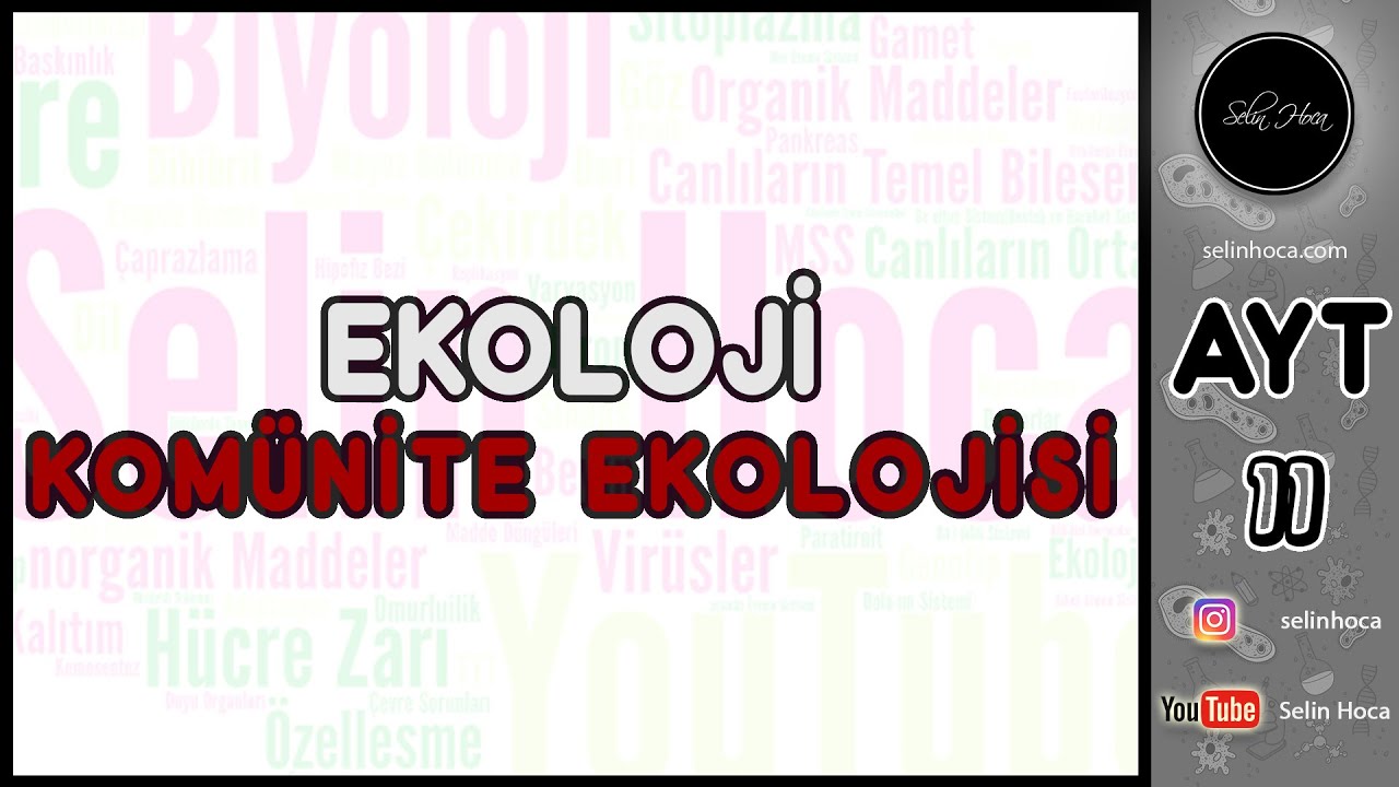 32) Komünite Ekolojisi