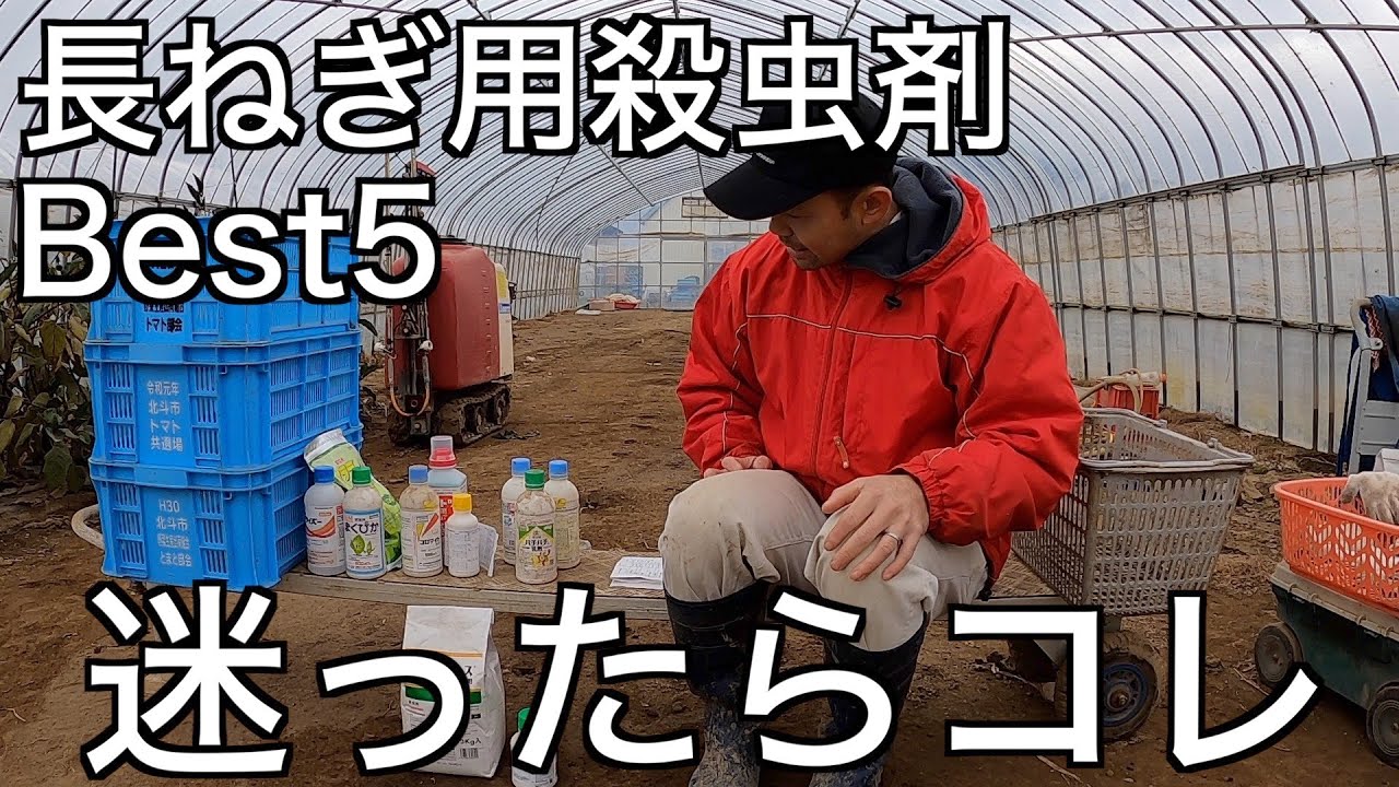 ヤバイくらい効く！オレ的長ねぎ用殺虫剤Best5。と展着剤
