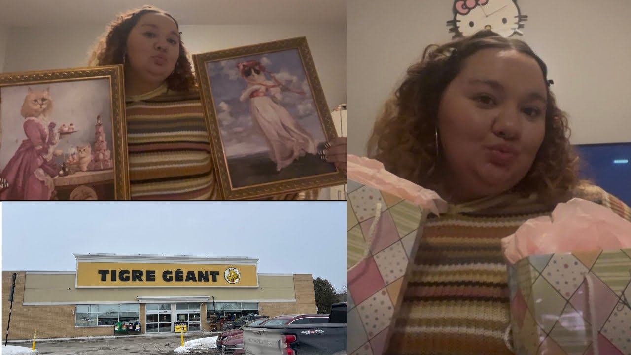 Come Shopping With Me! Winners, Giant Tiger & Birthday Gifts 🛍️