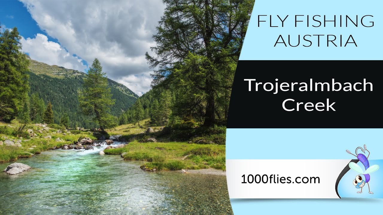 Pesca a mosca in Austria - Torrente Trojeralmbach