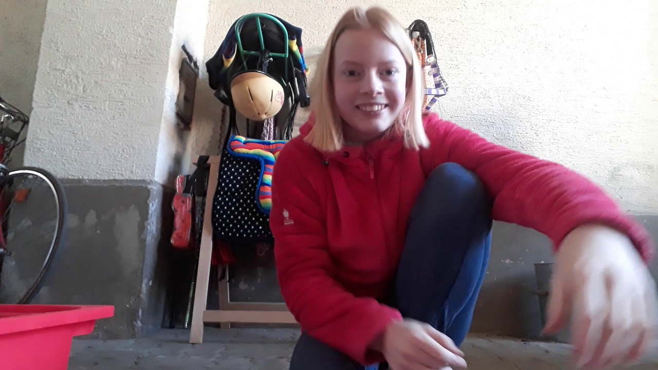 Sattelkammer wird aufgeräumt zur Sommer Kammer 😂🤗😘🌞☀️