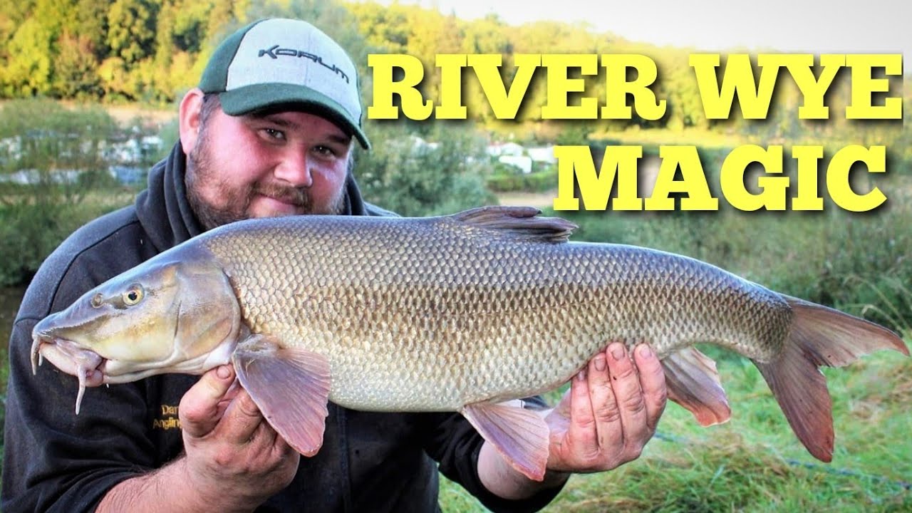 River Wye Barbel Fishing Doubles and New Pbs