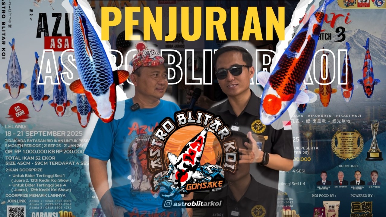 BELUM PERNAH LIAT ASAGI SEBAGUS INI !!! AZUKARI ASTRO BLITAR KOI MEMANG BEDA DENGAN YANG LAIN !!!