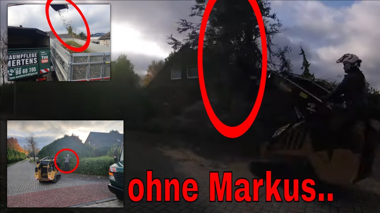 Markus ist weg.. | Baumpflege Mertens