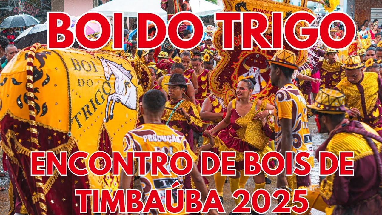 BOI DO TRIGO 2025 - ENCONTRO DE BOIS DE CARNAVAL DE TIMBAÚBA