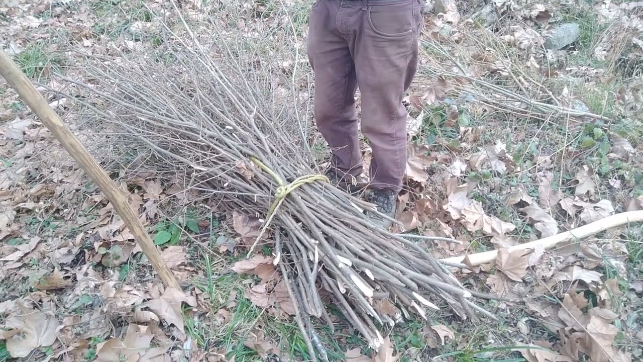 Legare  fascine con legacci vegetali
