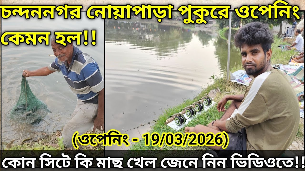 চন্দননগর নোয়াপাড়া পুকুরে ওপেনিং এ কেমন মাছ খেল|Opening Report Of Chandannagar Noyapara Pond