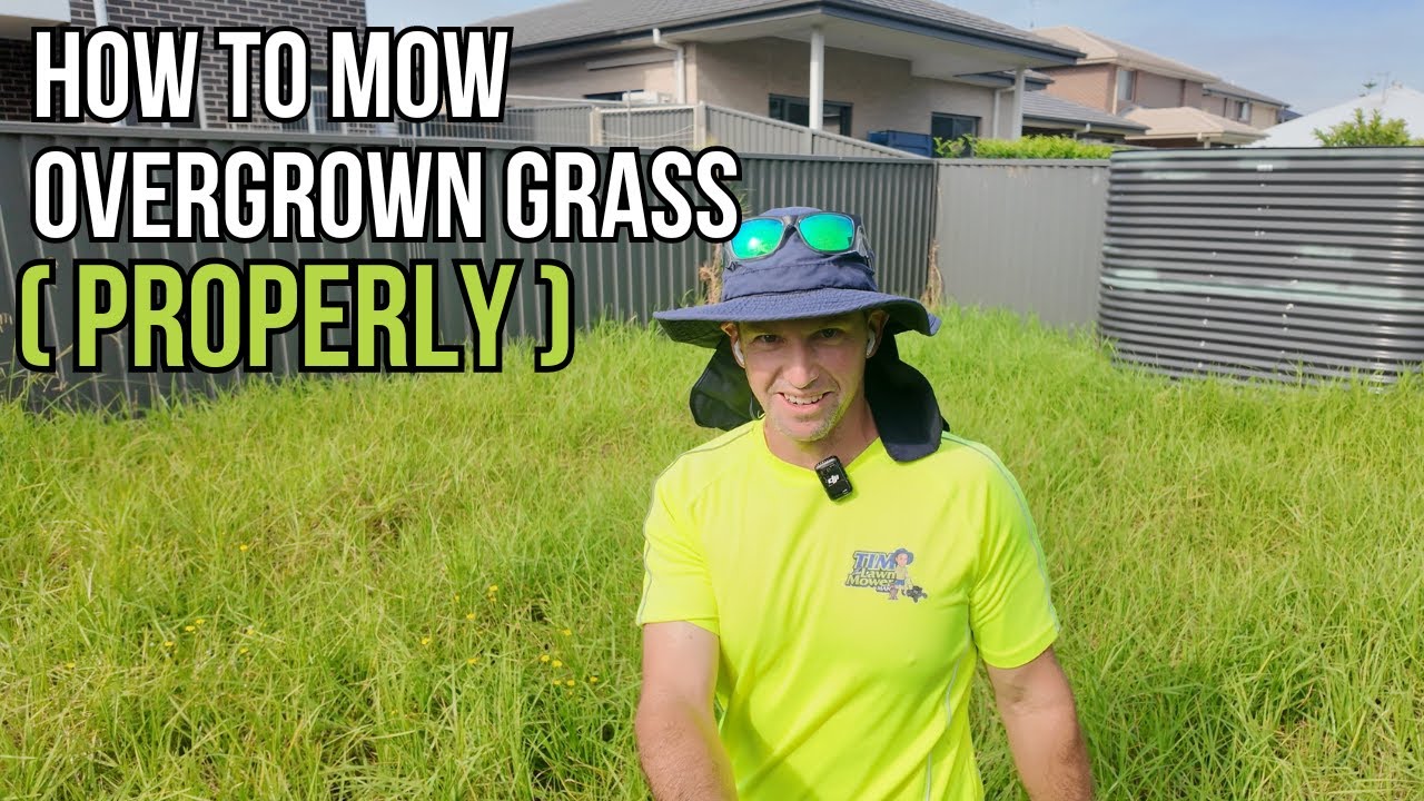 OVERGROWN Lawn - This is how it SHOULD be done... (If you actually want to help the situation)