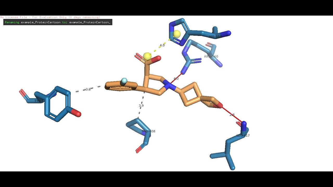 PLIP: Publication-ready 3D Interaction Maps of Protein-Ligand Complexes