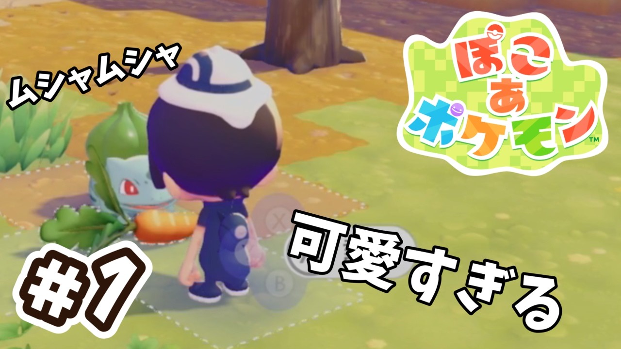 【完全初見】こんな可愛い子を断れないに決まっている【ぽこ あ ポケモン】#1