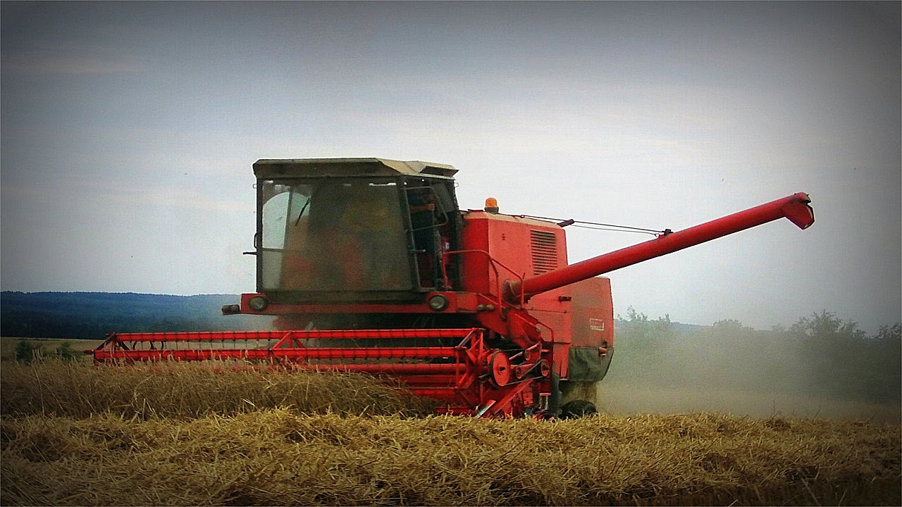 Żniwa 2016 ☆ Bizon Z056 Super, Ursus C-355, Zetor 7211 ㋡ Mateusz4207
