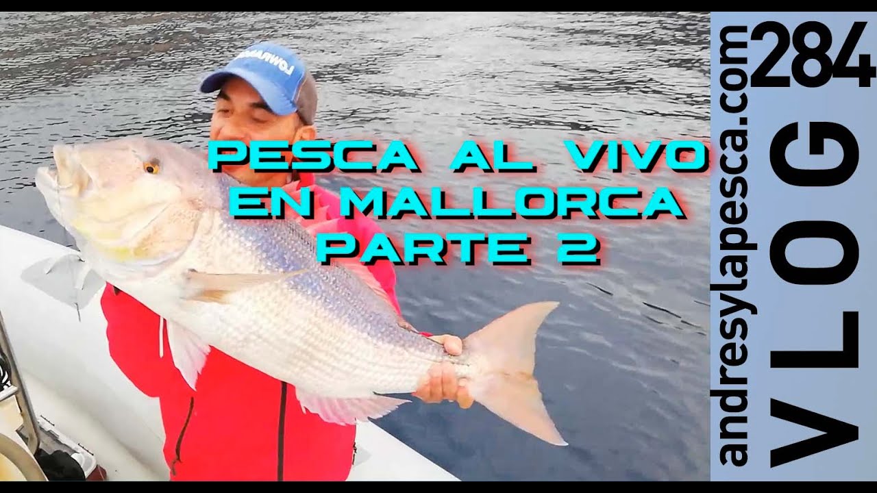 Pesca al vivo en Mallorca 2ª parte