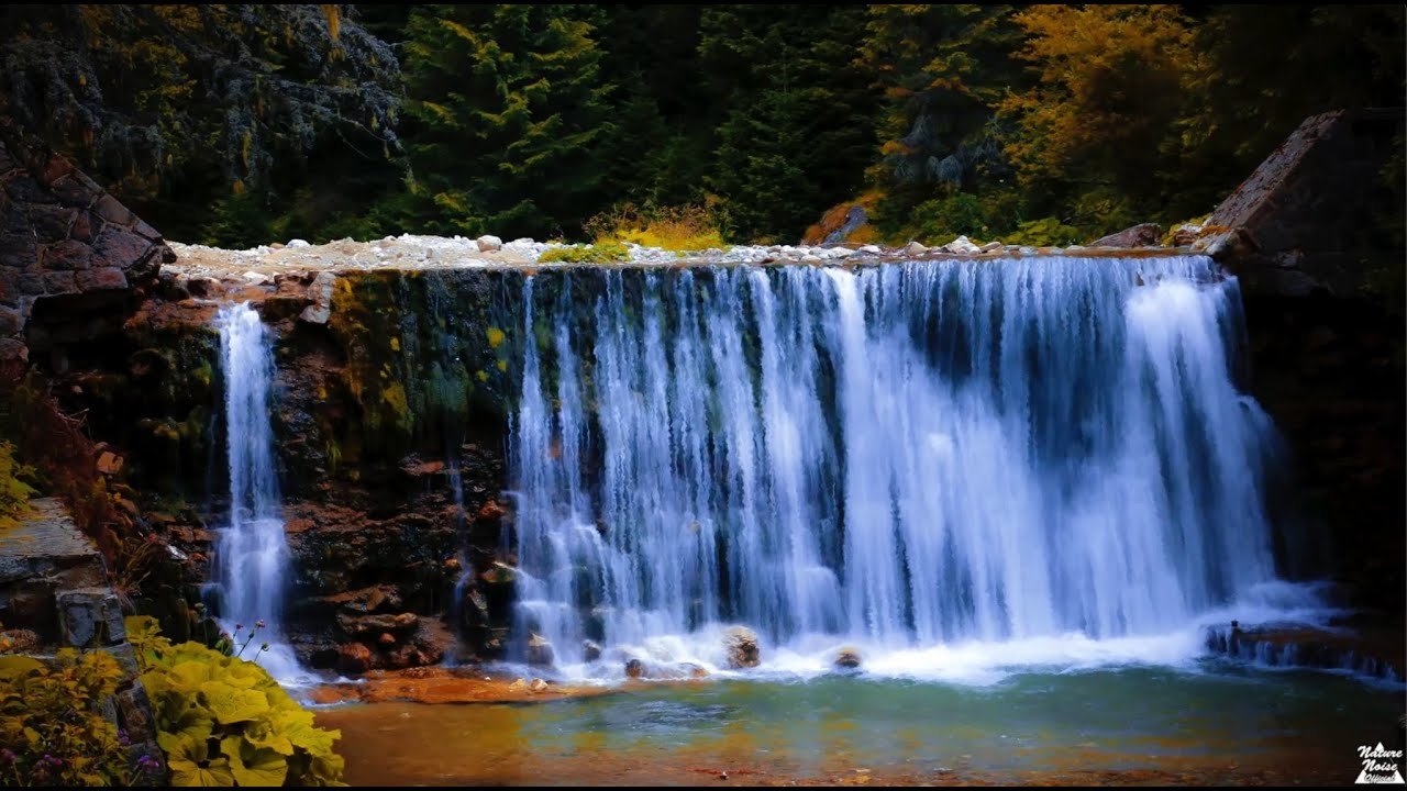 Where the Water Never Stops Falling