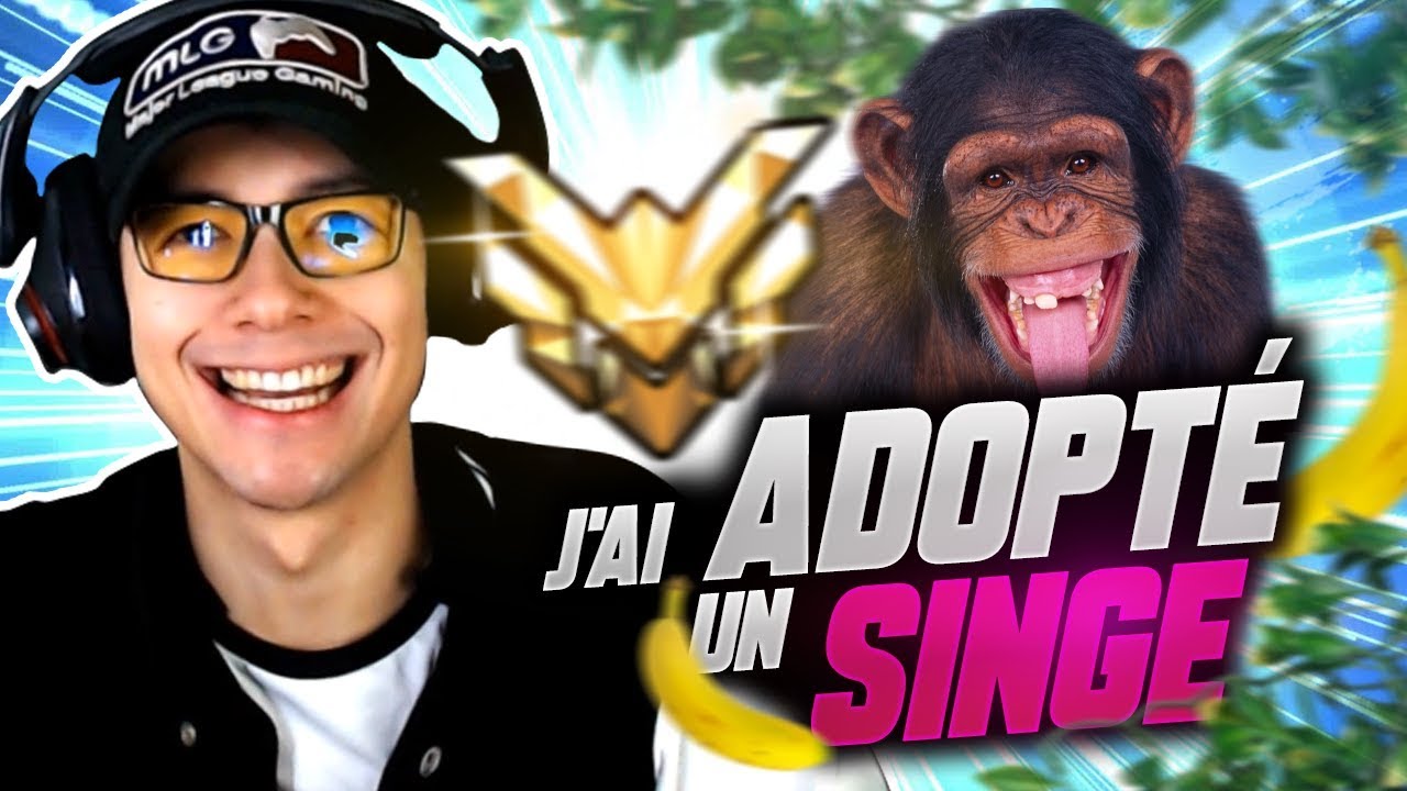 LES SINGES DANS LES JEUX VIDEOS ?!