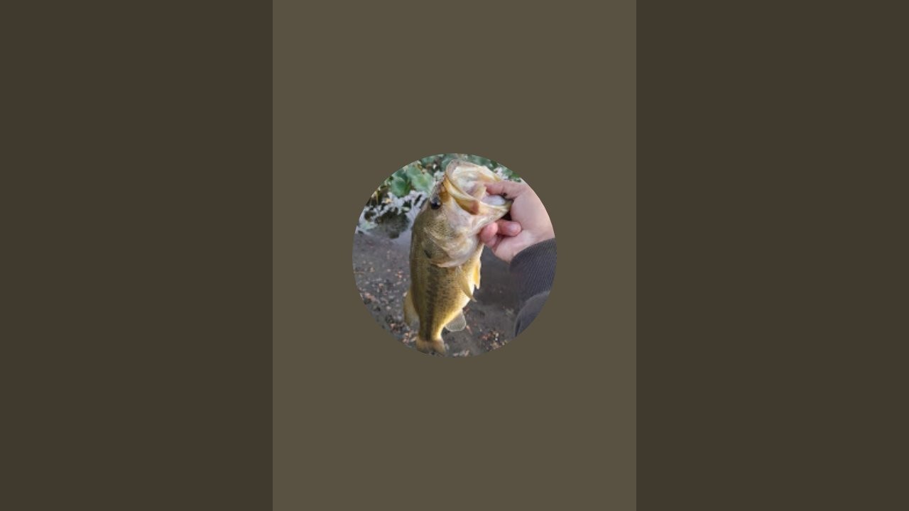 BASS KING JOSHUA 👑 is live!