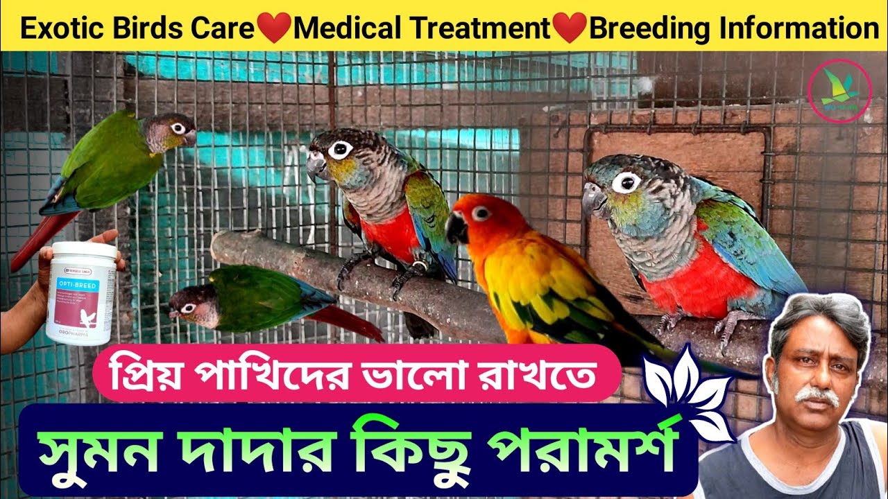 Exotic Birds Care, Soft Foods, Medical Treatment And Breeding Information
